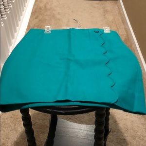 JCrew skirt